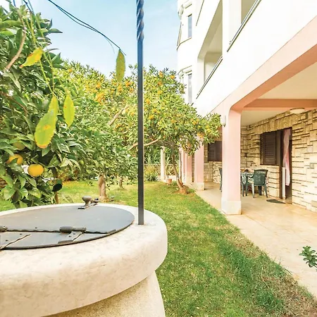 דירה 1 Bedroom Lovely In פולה