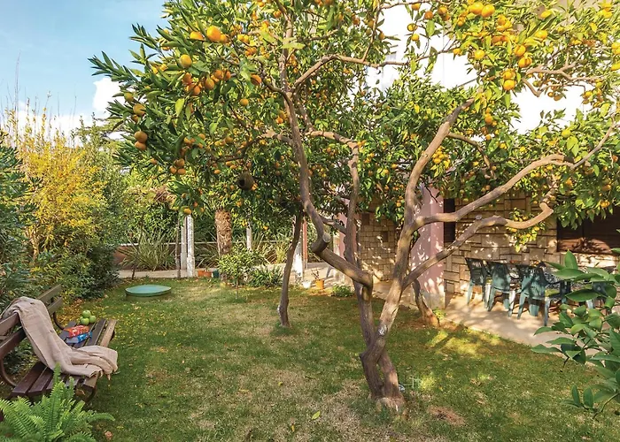 1 Bedroom Lovely In